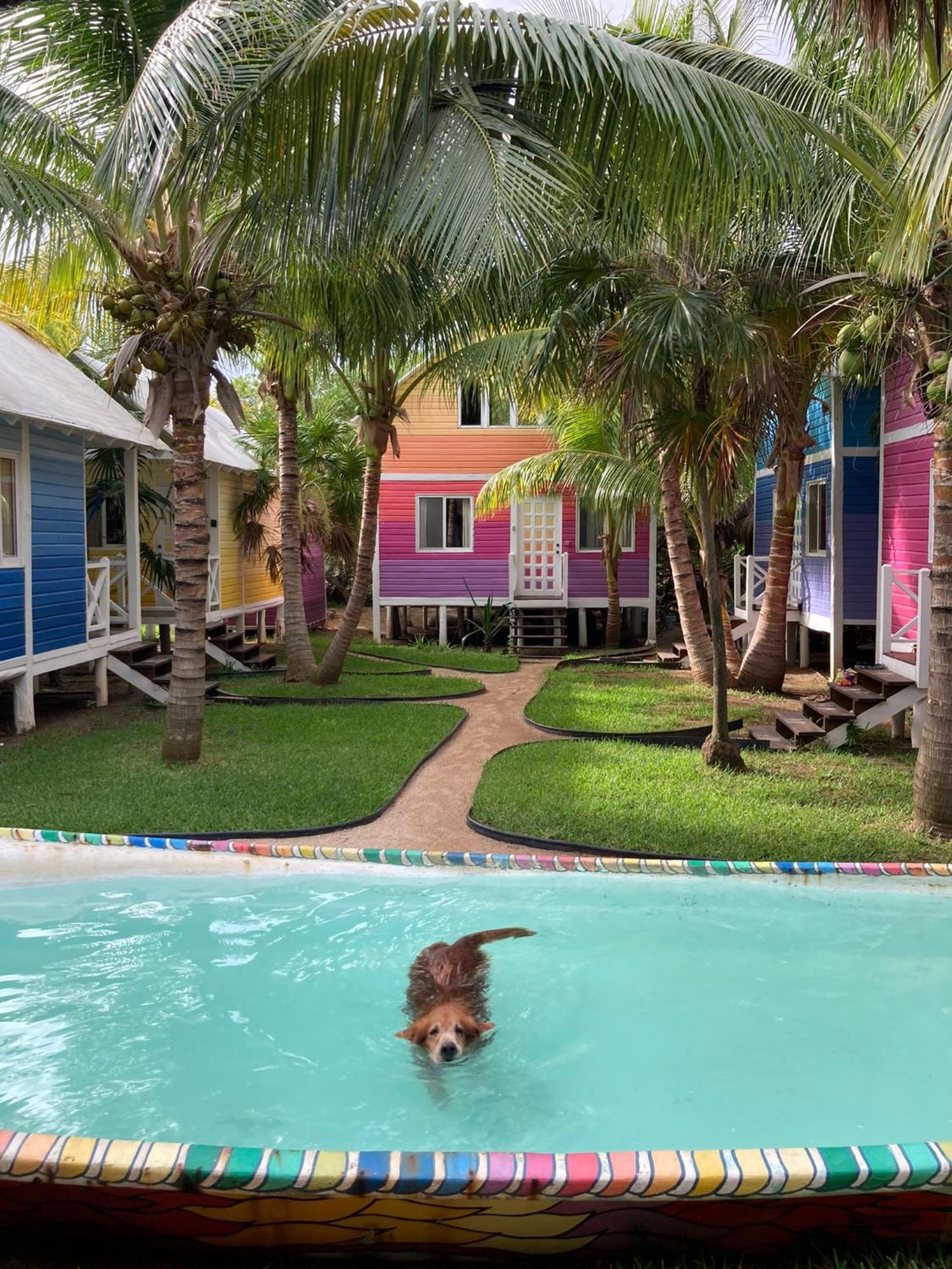 Whyknot Holbox Bed & Breakfast ภายนอก รูปภาพ