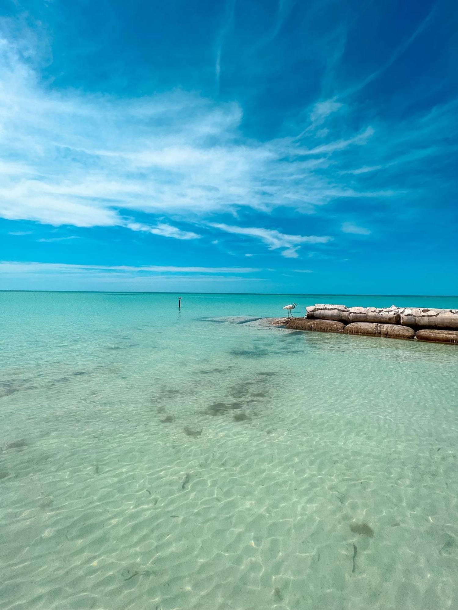 Whyknot Holbox Bed & Breakfast ภายนอก รูปภาพ